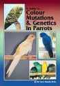 A Guide To… Colour Mutations & Genetics In Parrots