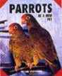 Parrots As A New Pet